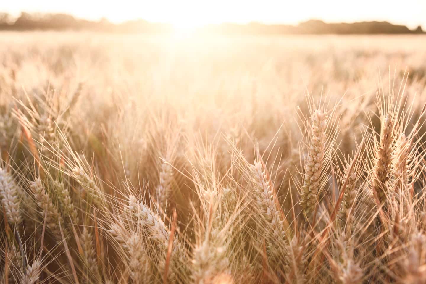 FXCA Commodities Hero Mobile