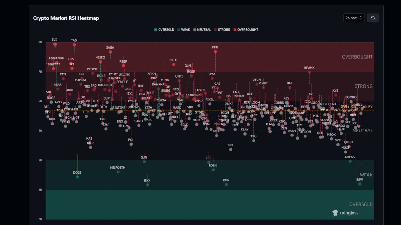 Daily Alternative Coin RSI Chart