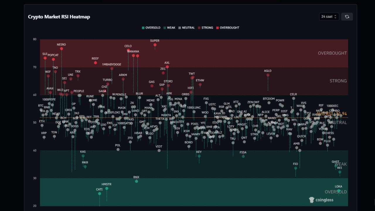 Daily Altcoin RSI Chart